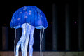 Year of the Dragon Lantern Festival at the Biodome #6735