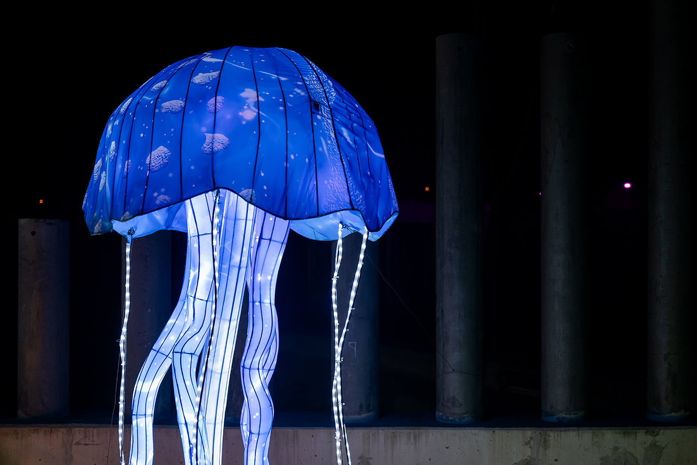 Year of the Dragon Lantern Festival at the Biodome #6735