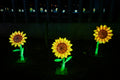 Year of the Dragon Lantern Festival at the Biodome #6738