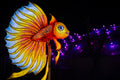 Year of the Dragon Lantern Festival at the Biodome #6737
