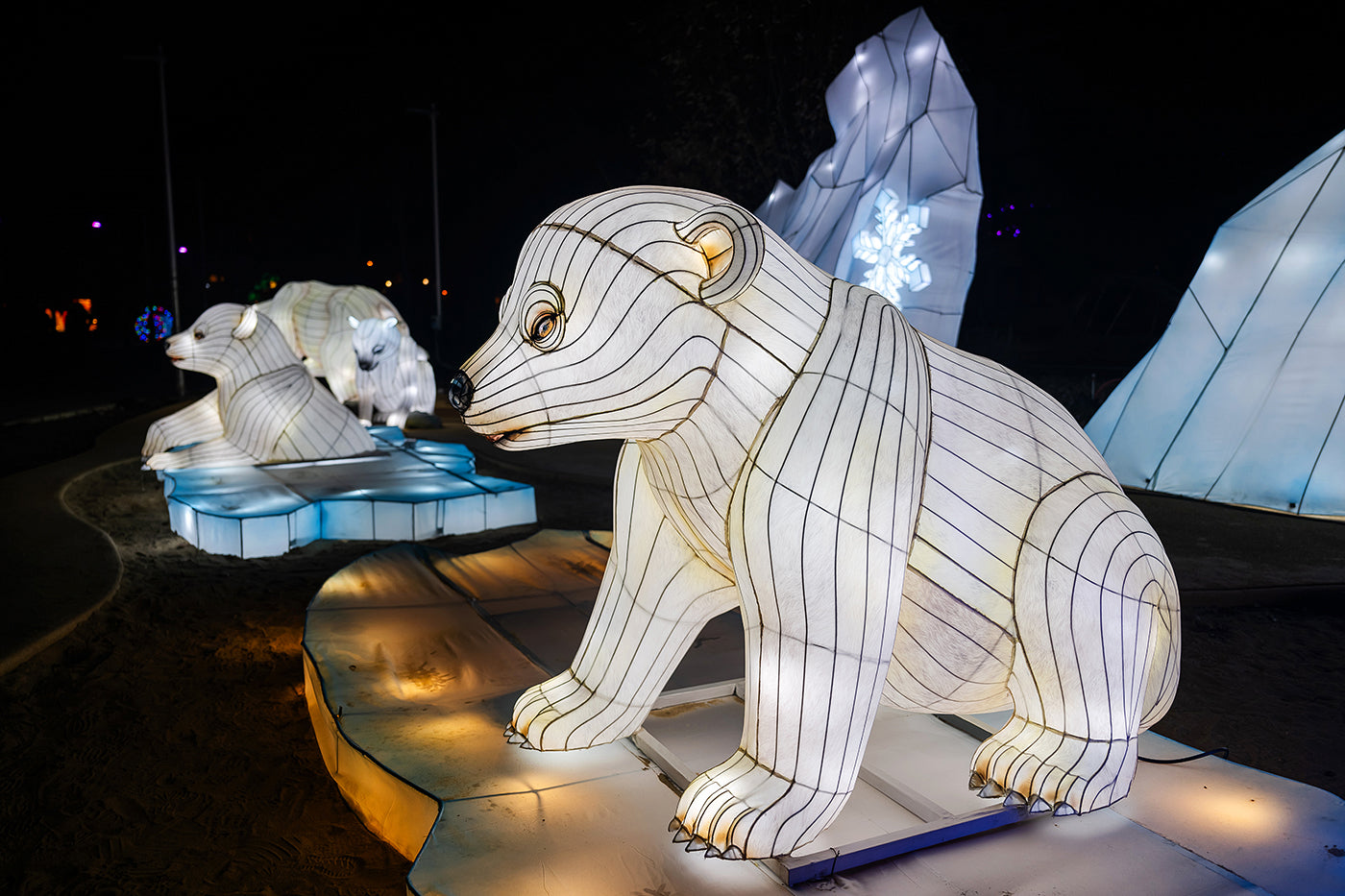 Year of the Dragon Lantern Festival at the Biodome #6740