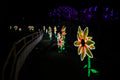 Year of the Dragon Lantern Festival at the Biodome #6743