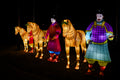 Sárkány Éve Lampion Fesztivál a Biodómnál #6742