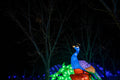 Sárkány Éve Lampion Fesztivál a Biodómnál #6745