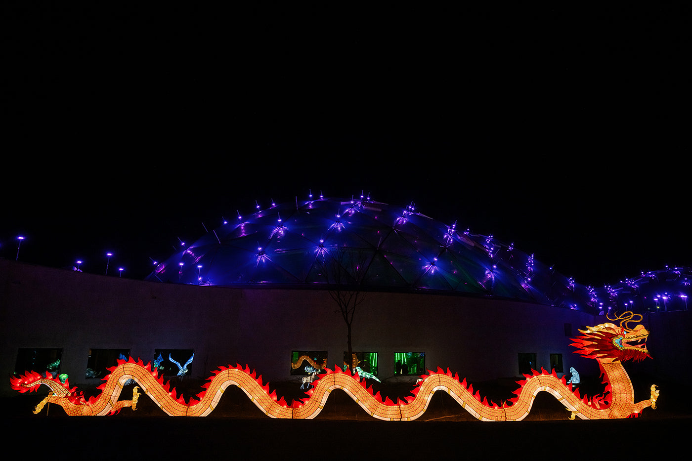 Year of the Dragon Lantern Festival at the Biodome #6747