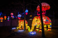 Sárkány Éve Lampion Fesztivál a Biodómnál #6748