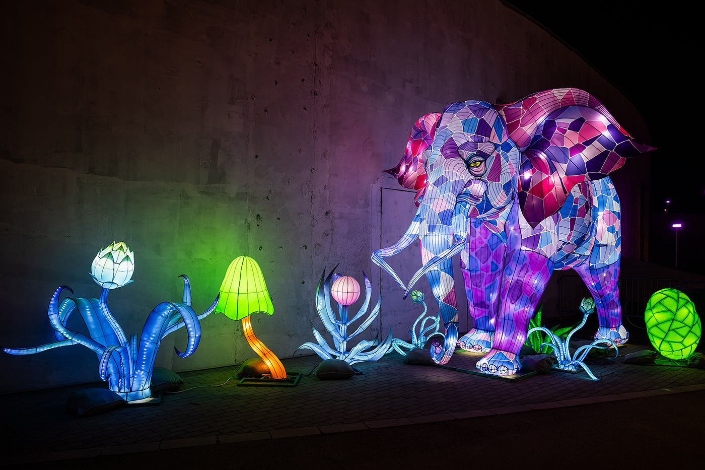 Year of the Dragon Lantern Festival at the Biodome #6750