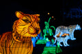 Year of the Dragon Lantern Festival at the Biodome #6755