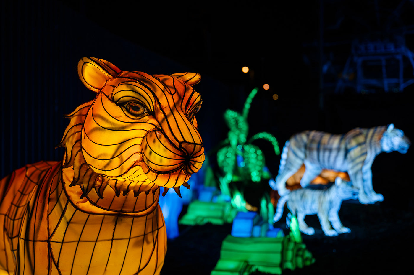 Year of the Dragon Lantern Festival at the Biodome #6755