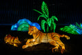 Year of the Dragon Lantern Festival at the Biodome #6756