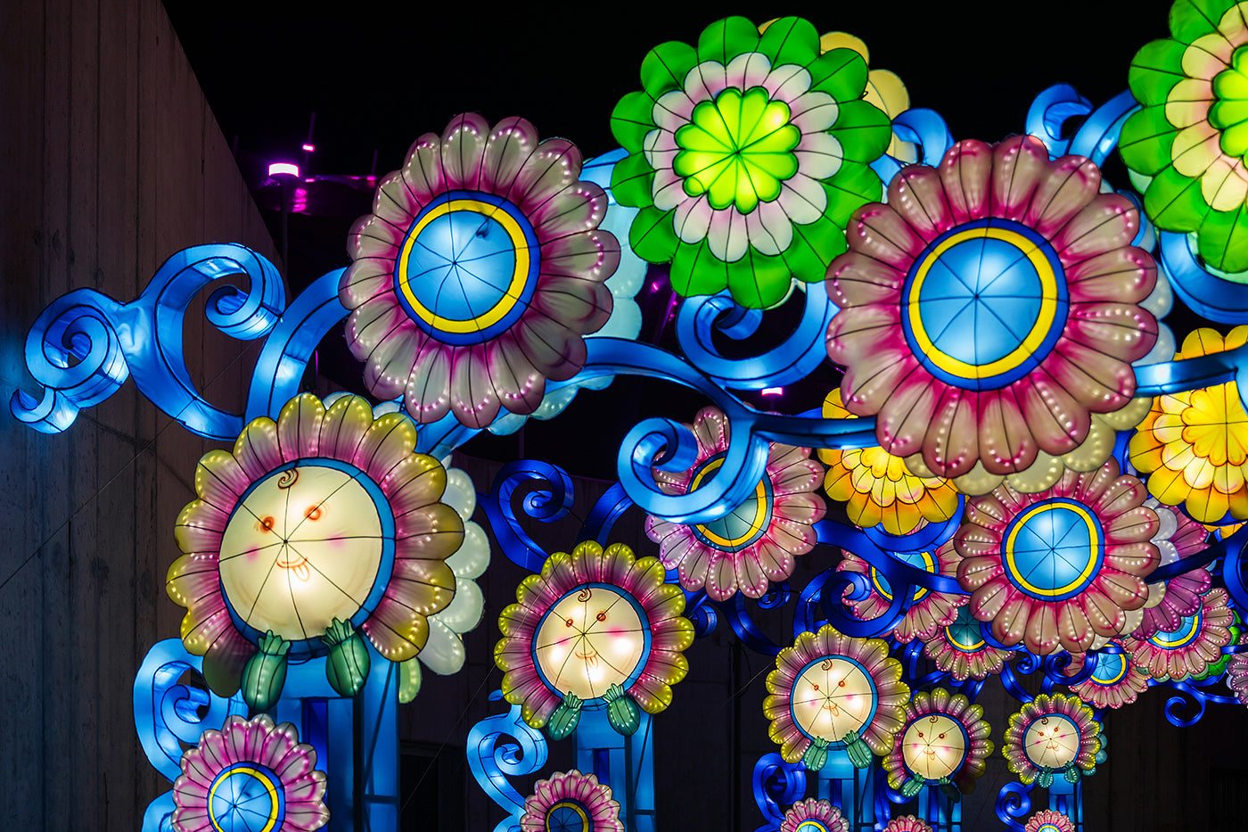 Year of the Dragon Lantern Festival at the Biodome #6759
