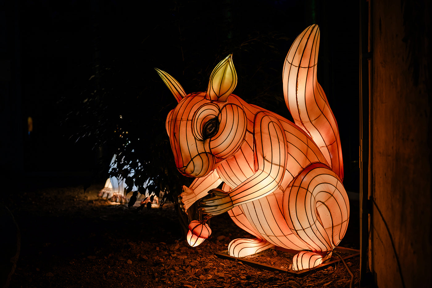Year of the Dragon Lantern Festival at the Biodome #6762