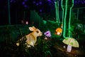 Sárkány Éve Lampion Fesztivál a Biodómnál #6765