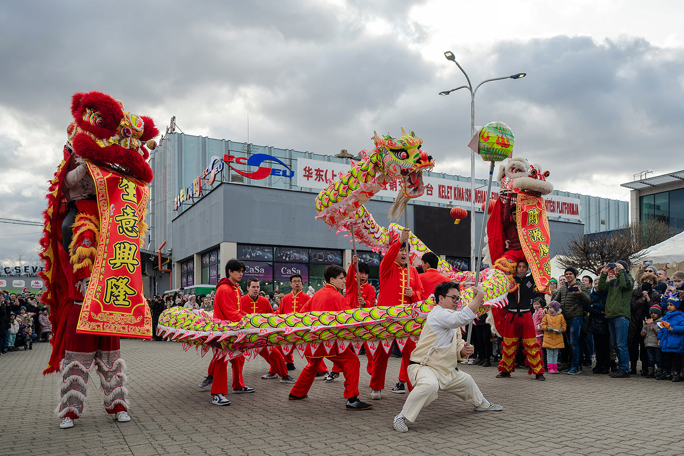 Chinese New Year Festival - Year of the Dragon #6781