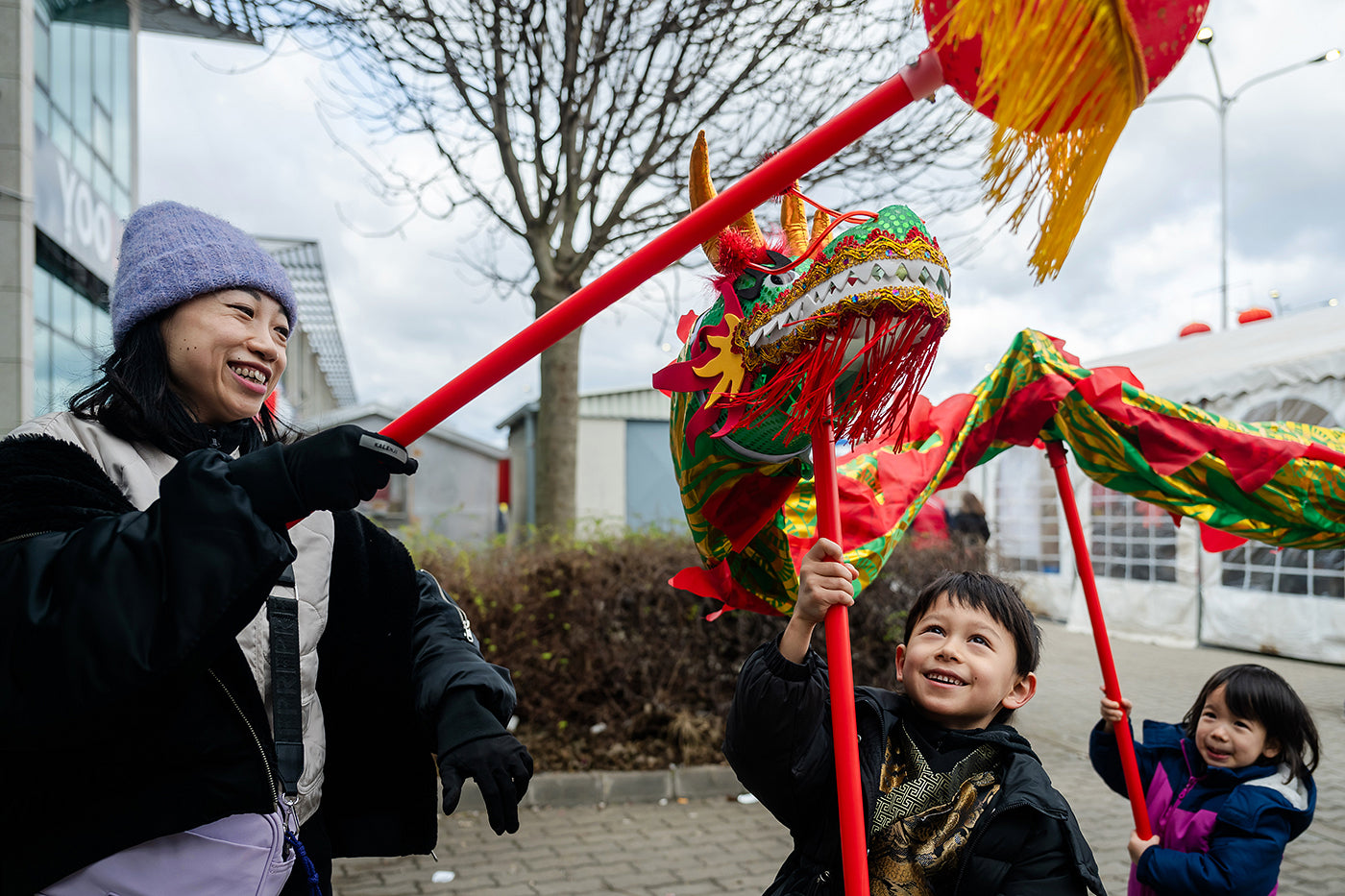 Chinese New Year Festival - Year of the Dragon #6785
