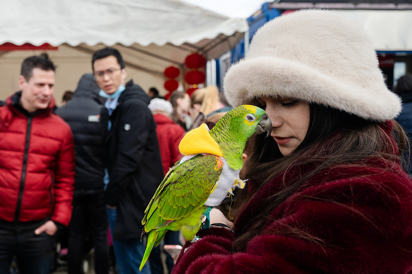 Chinese New Year Festival - Year of the Dragon #6788