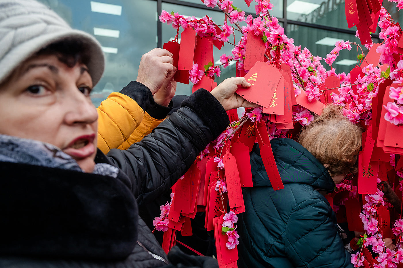 Chinese New Year Festival - Year of the Dragon #6789