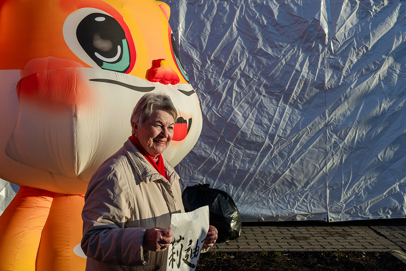 Chinese New Year Festival - Year of the Dragon #6798