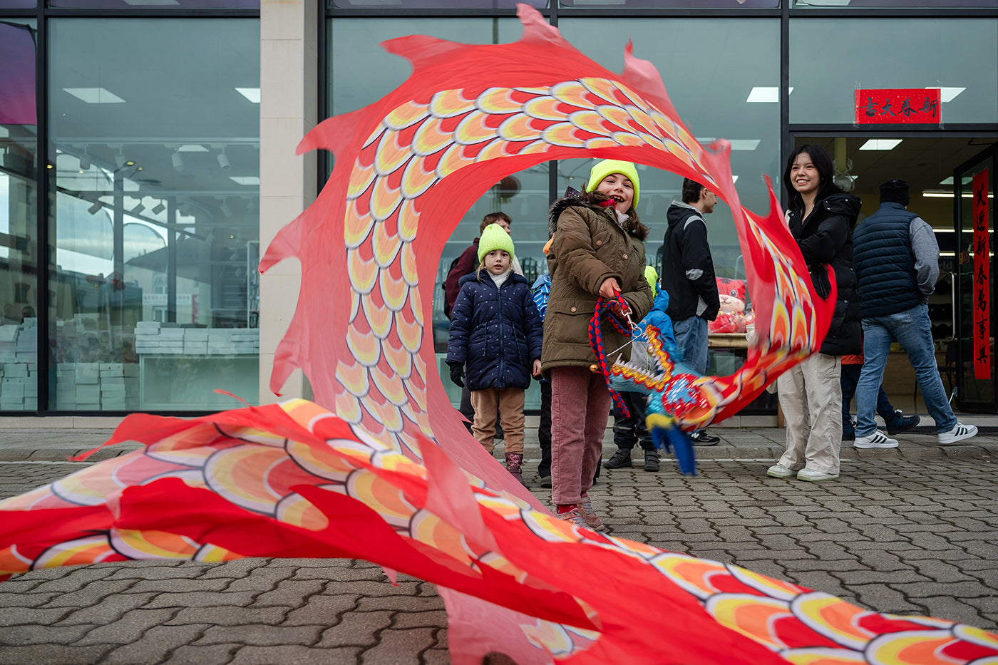 Chinese New Year Festival - Year of the Dragon #6800