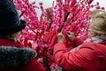 Chinese New Year Festival - Year of the Dragon #6805