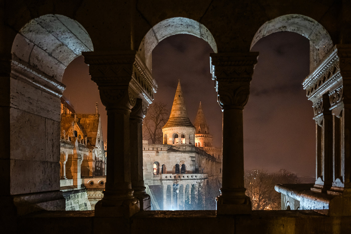 Fisherman's Bastion on a Foggy Winter Evening #6834