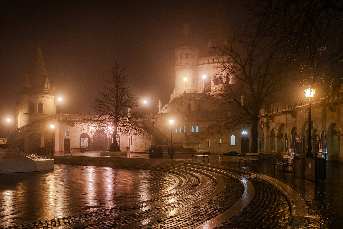 Fisherman's Bastion on a Foggy Winter Evening #6833