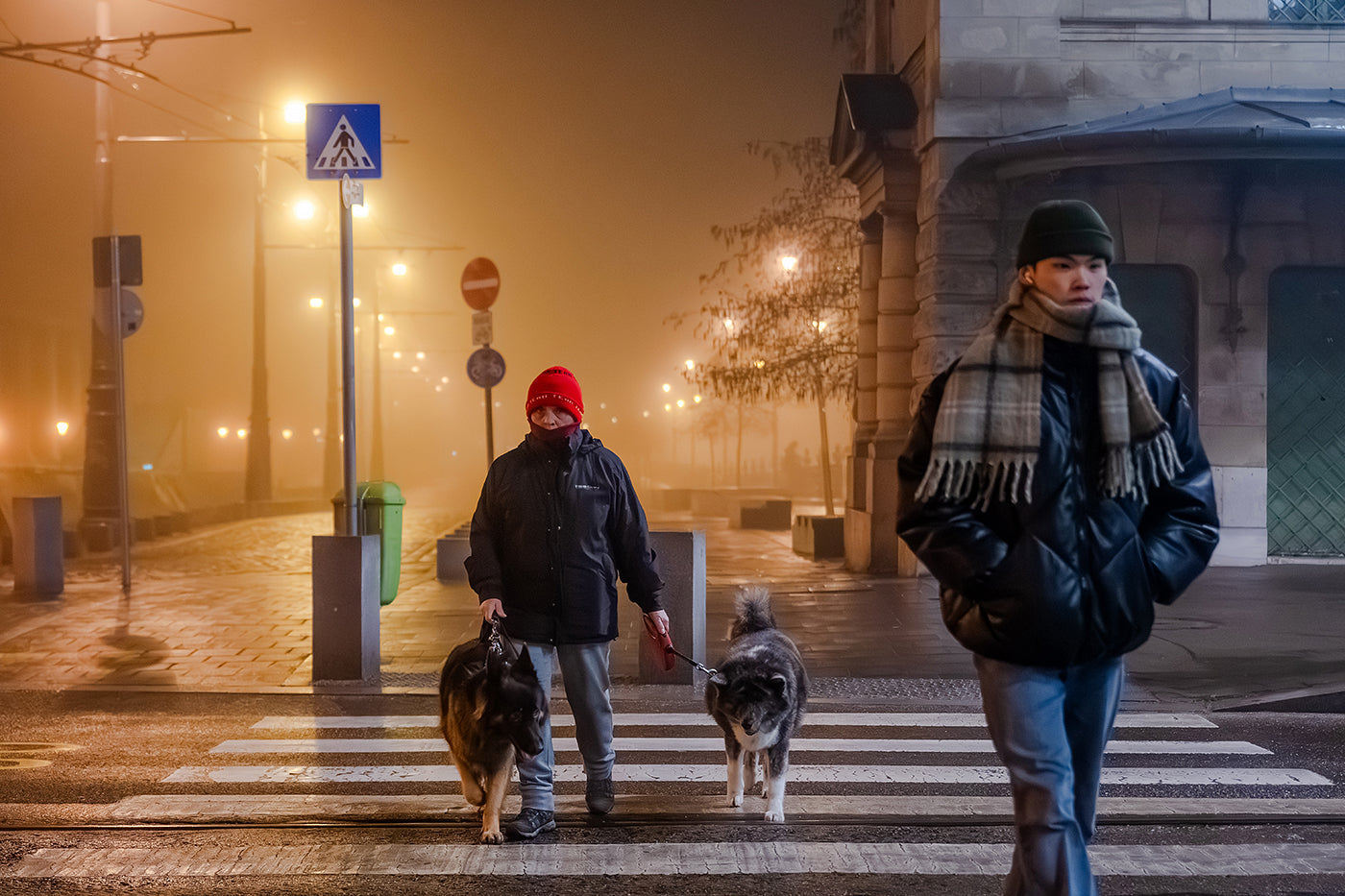 Kutyasétáltatás a Fővám téren egy ködös téli estén #6838