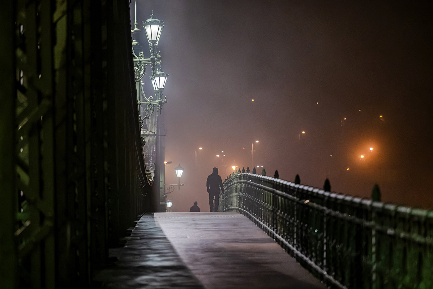 Walking on the Liberty Bridge on a foggy winter evening #6846