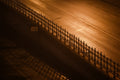 Danube bank on a foggy winter evening #6847