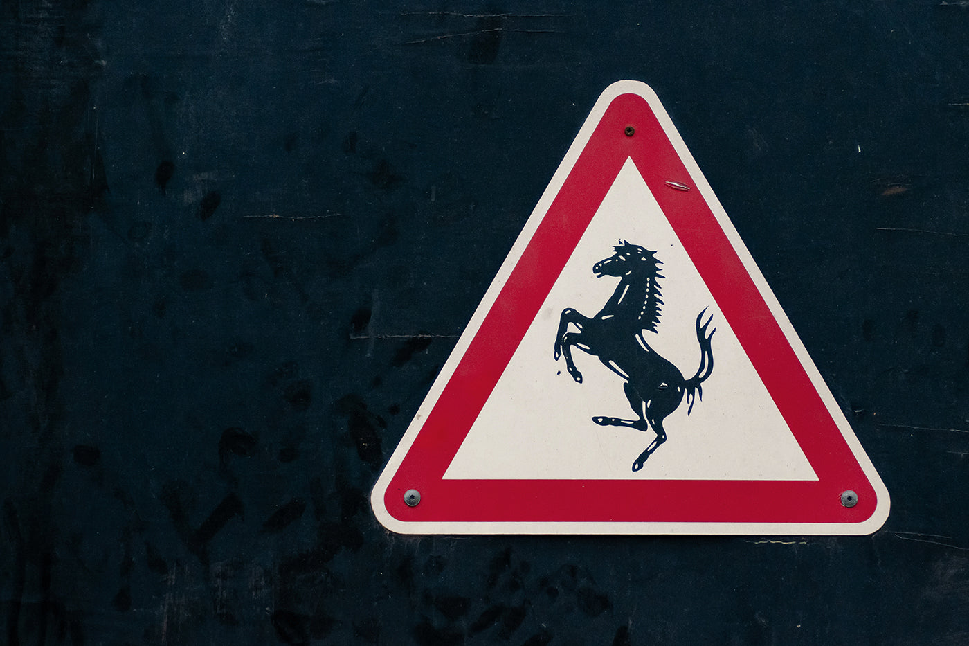 Life in Kincsem Park #6988