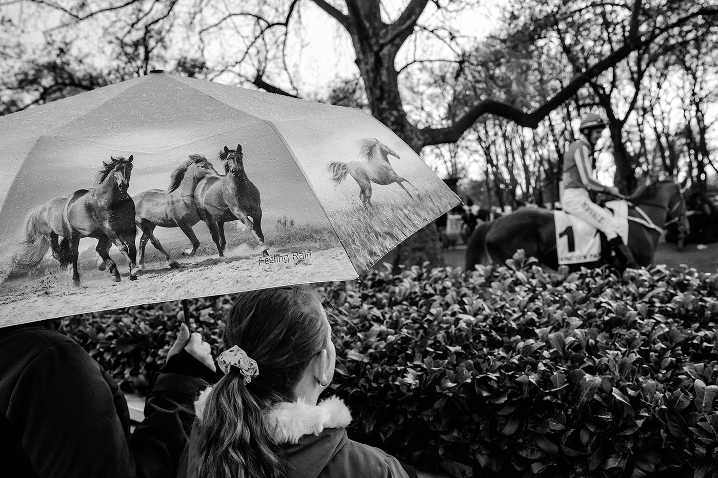 Life in Kincsem Park #7014