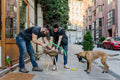DIY in the city center #7173