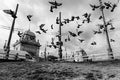 Pigeons on Fővám Square #7204