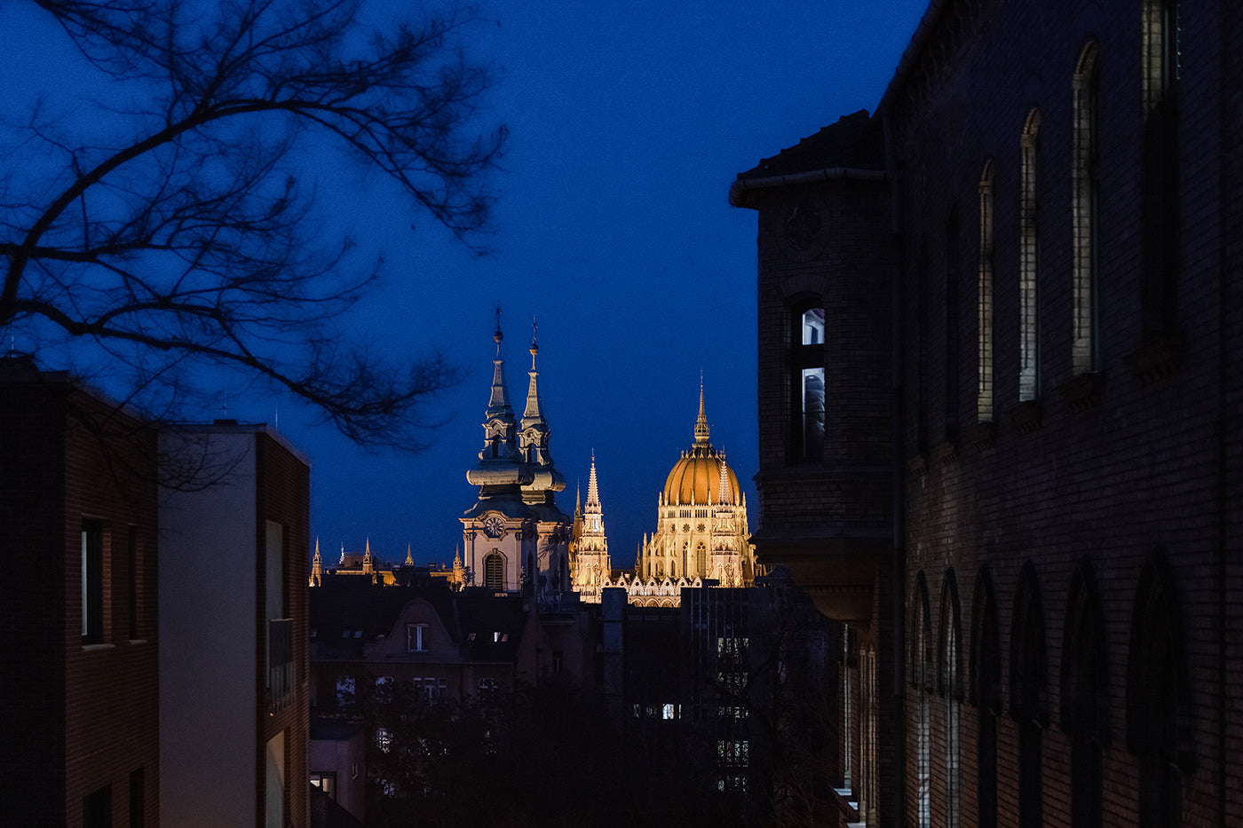 Parliament from Franklin Steps #7289