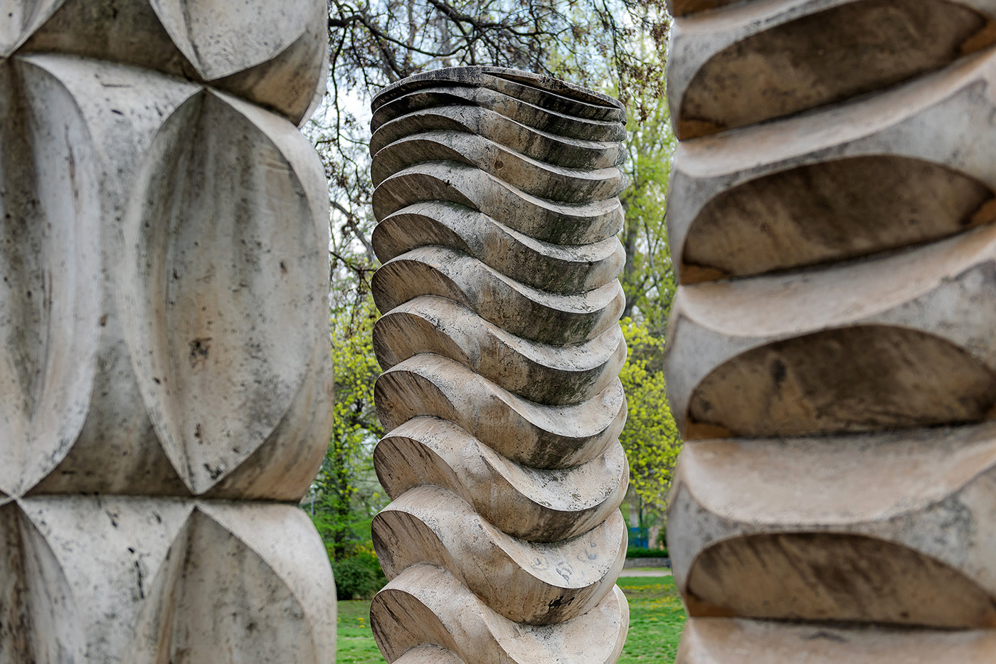 Plastic composition in the City Park #7302