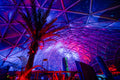 Light dome in the Biodome #7325