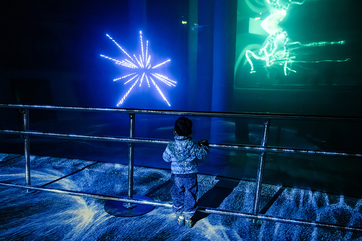 Light dome in the Biodome #7338