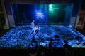 Light dome in the Biodome #7340