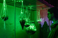 Light dome in the Biodome #7347