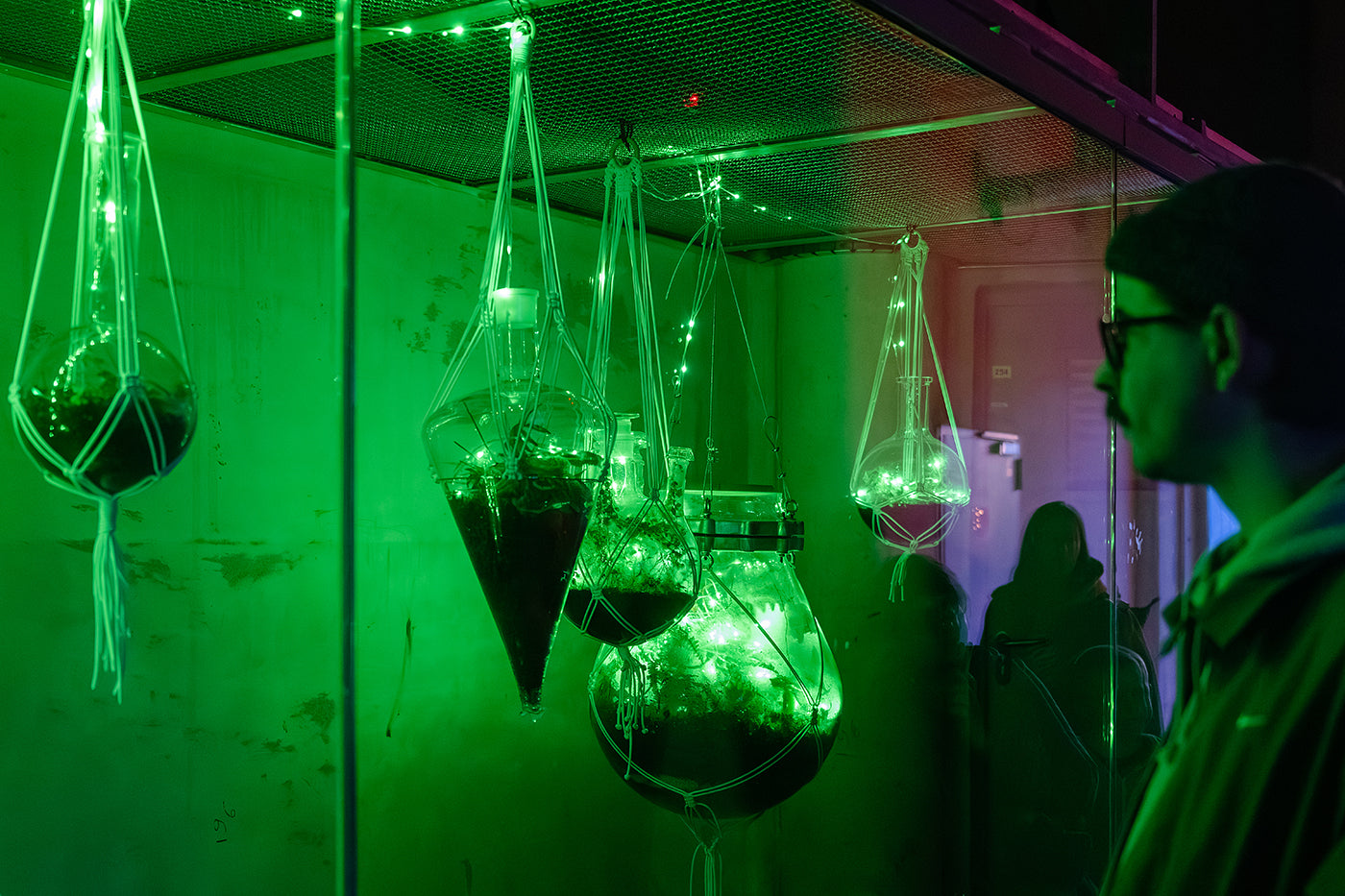 Light dome in the Biodome #7347