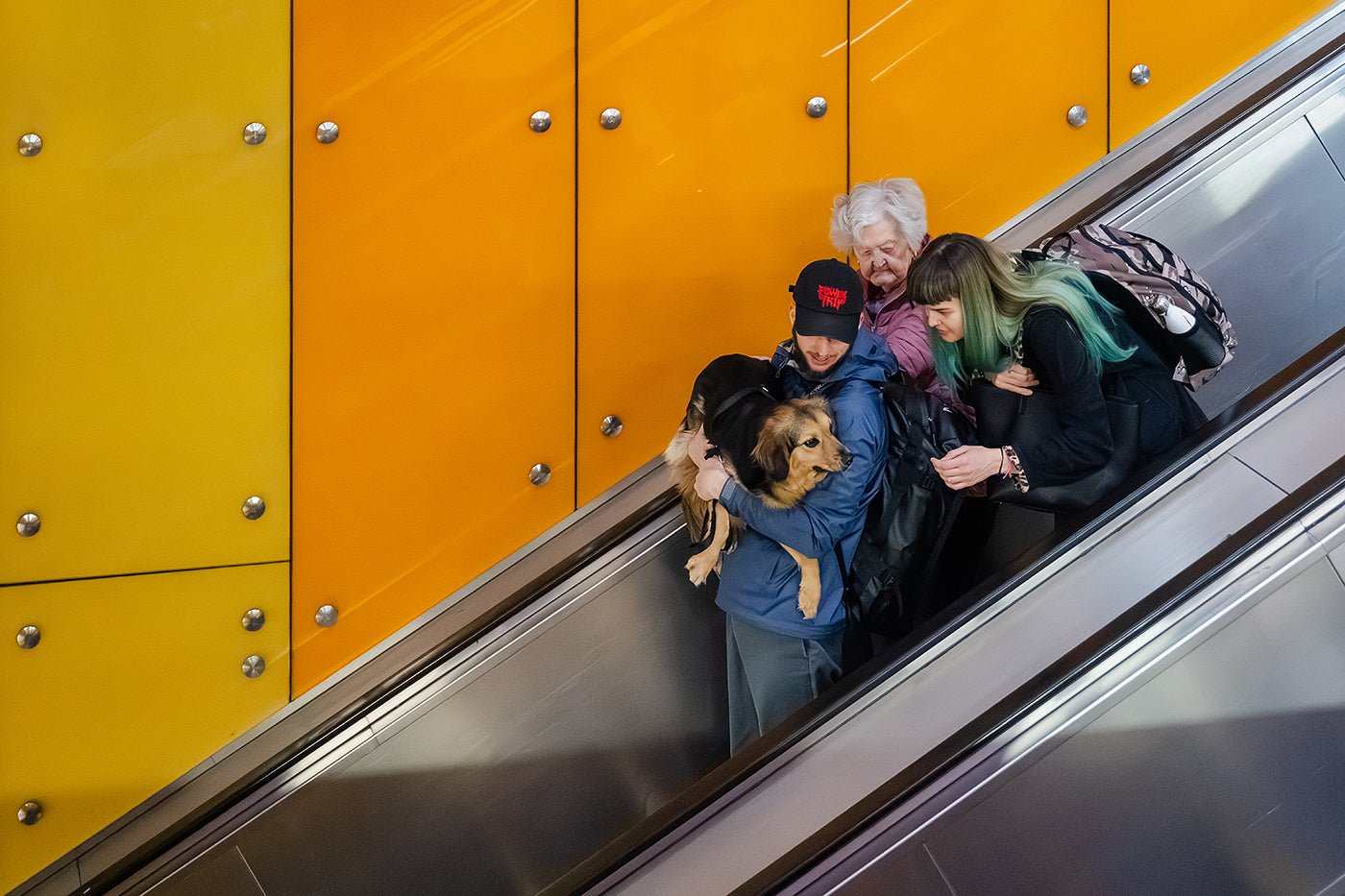 Life pictures from the 10-year-old metro line 4 #7488