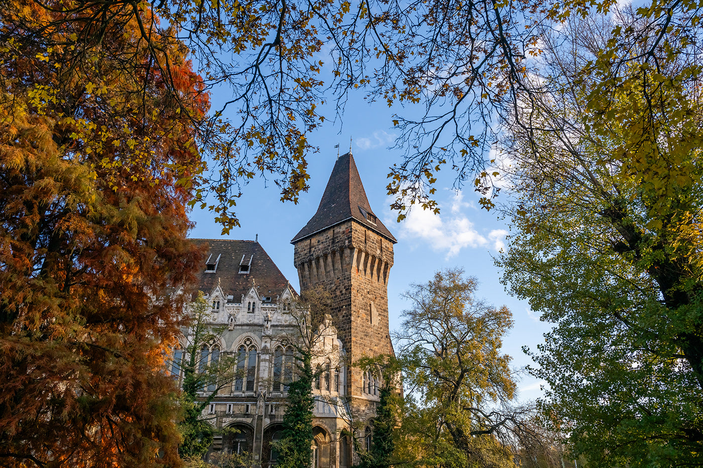 Vajdahunyad Castle in autumn #7665