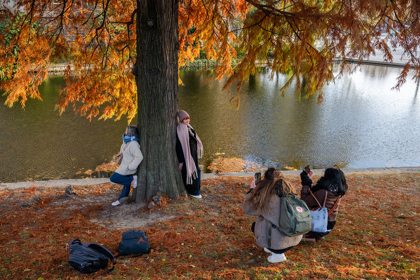 Taking pictures in the City Park #7675