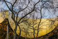 Hungarian House of Music in autumn #7678