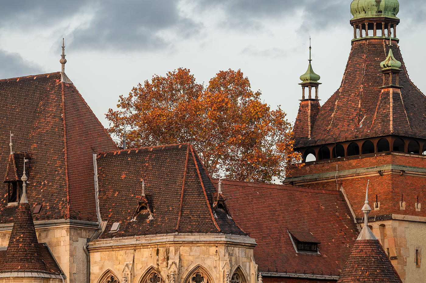 Vajdahunyad Castle in autumn #7685