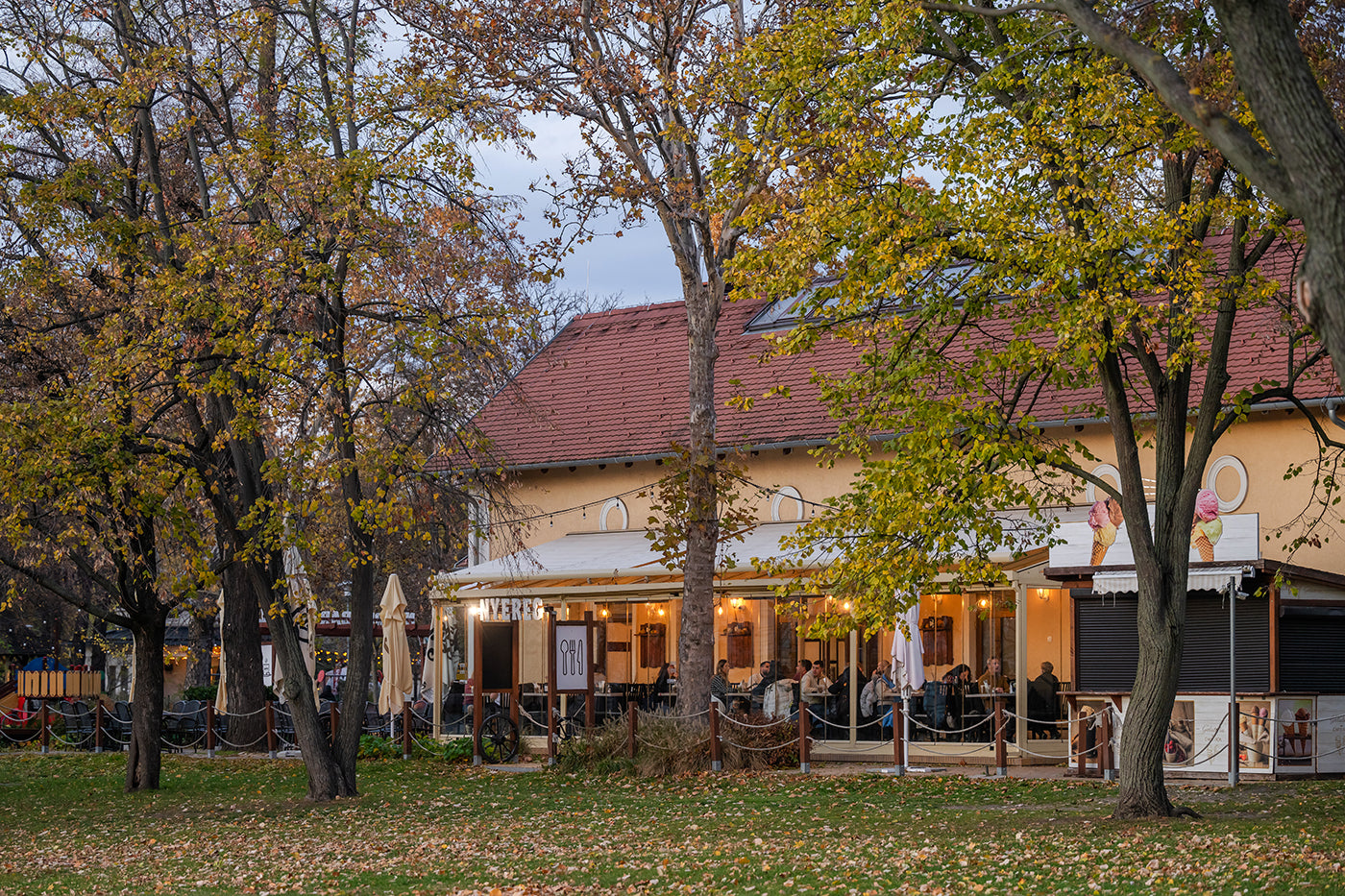 Saddle restaurant in the City Park #7687