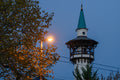 The Elephant House Tower #7692
