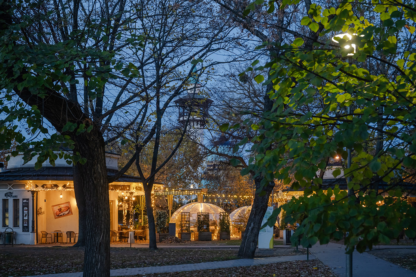 Pavilions in the City Park #7694