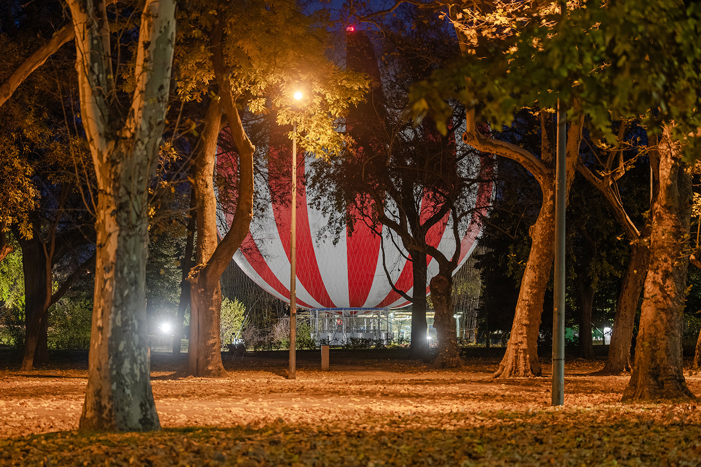 Légballon a Városligetben #7705