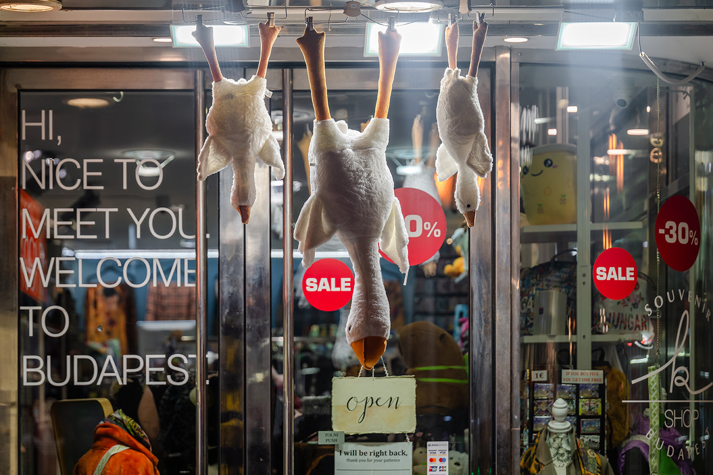 Geese on Vaci Street #7743